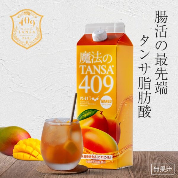 魔法のTNASA409