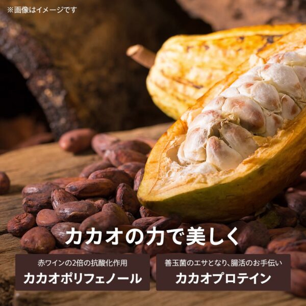 低GIチョコレートサプリメント CACAO55